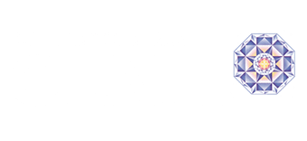 C.I.N.T. Logo
